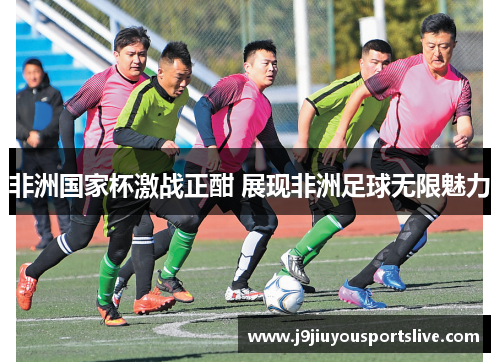 非洲国家杯激战正酣 展现非洲足球无限魅力