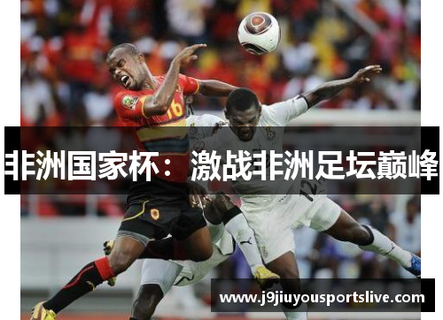 非洲国家杯：激战非洲足坛巅峰